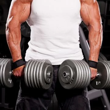 WebCitz - The Fitness Store Grizzly Cotton And Nylon Lifting Wrist Straps 9 WebCitz - The Fitness Store Grizzly Cotton And Nylon Lifting Wrist Straps