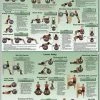 WebCitz - The Fitness Store Accessories Body Ball Exercises Poster - Upper/Lower Body