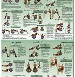WebCitz - The Fitness Store Accessories Body Ball Exercises Poster - Upper/Lower Body