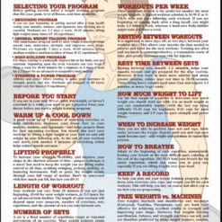 WebCitz - The Fitness Store Accessories Algra Weight Training Guidelines Poster